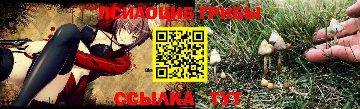 Галлюциногенные грибы Psilocybine cubensis Екатеринбург