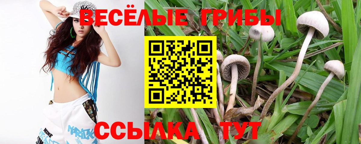 Галлюциногенные грибы мицелий  купить наркотик  Екатеринбург  Вход с VPN 